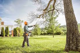 Trusted Geneva, NY Tree Services Experts